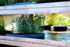 1_CarbonNeutral-PhotoOrd0101-2