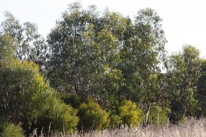 IMG_9904