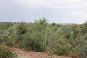 MG_3282